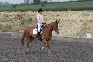 ISIS Dressage Challenge 2008